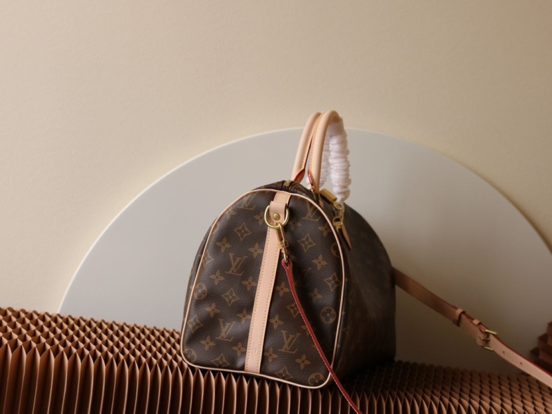 LV Speedy Bags